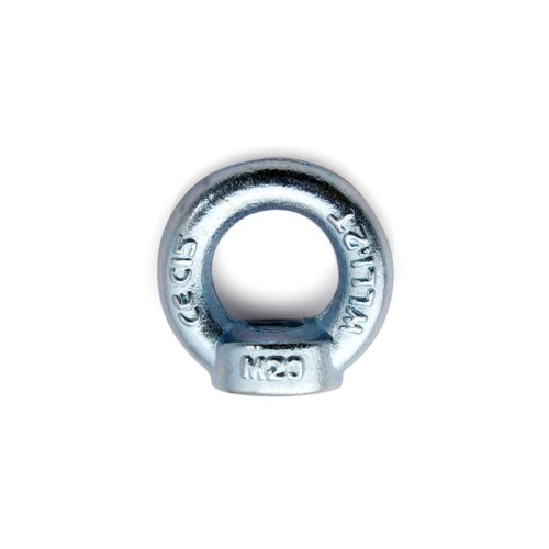 DIN582 EYE NUT